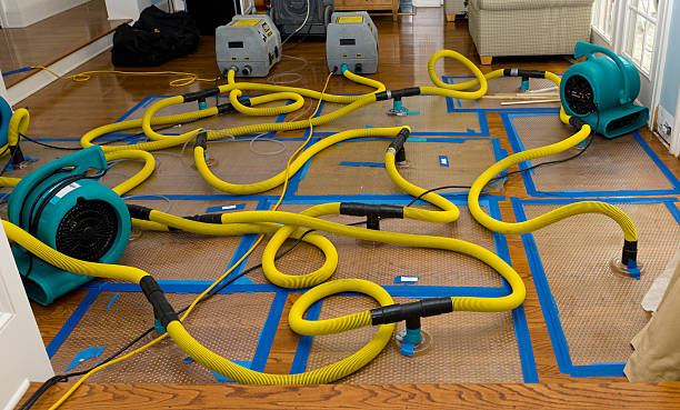 Professional Structural Drying And Dehumidification technician working in Danville, OH