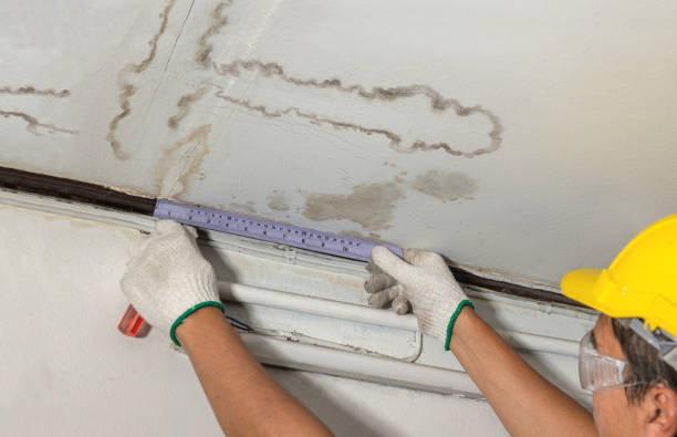 Affordable Water Damage Repair solutions in Danville, OH